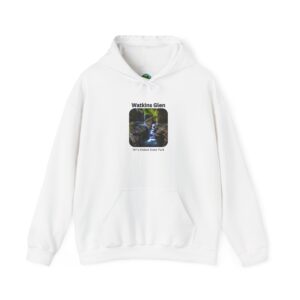 Watkins Glen Adventure Hoodie, Cozy Travel Sweatshirt, Nature Lover Gift, Outdoor Exploration, Hiking Apparel