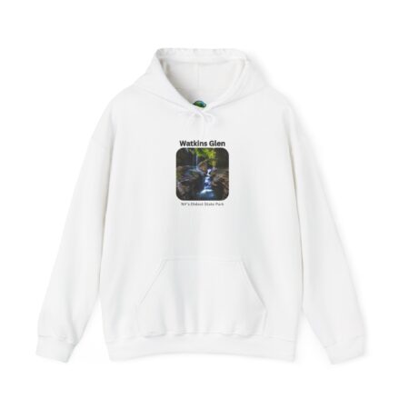 Watkins Glen Adventure Hoodie, Cozy Travel Sweatshirt, Nature Lover Gift, Outdoor Exploration, Hiking Apparel